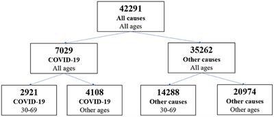 Covid Adult Mortality in Brazil: An Analysis of Multiple Causes of Death